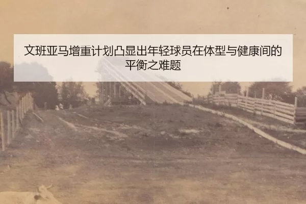 wen-ban-ya-ma-zeng-zhong-ji-hua-tu-xian-chu-nian-qing-qiu-yuan-zai-ti-xing-yu-jian-kang-jian-de-ping-heng-zhi-nan-ti-2-929.jpg